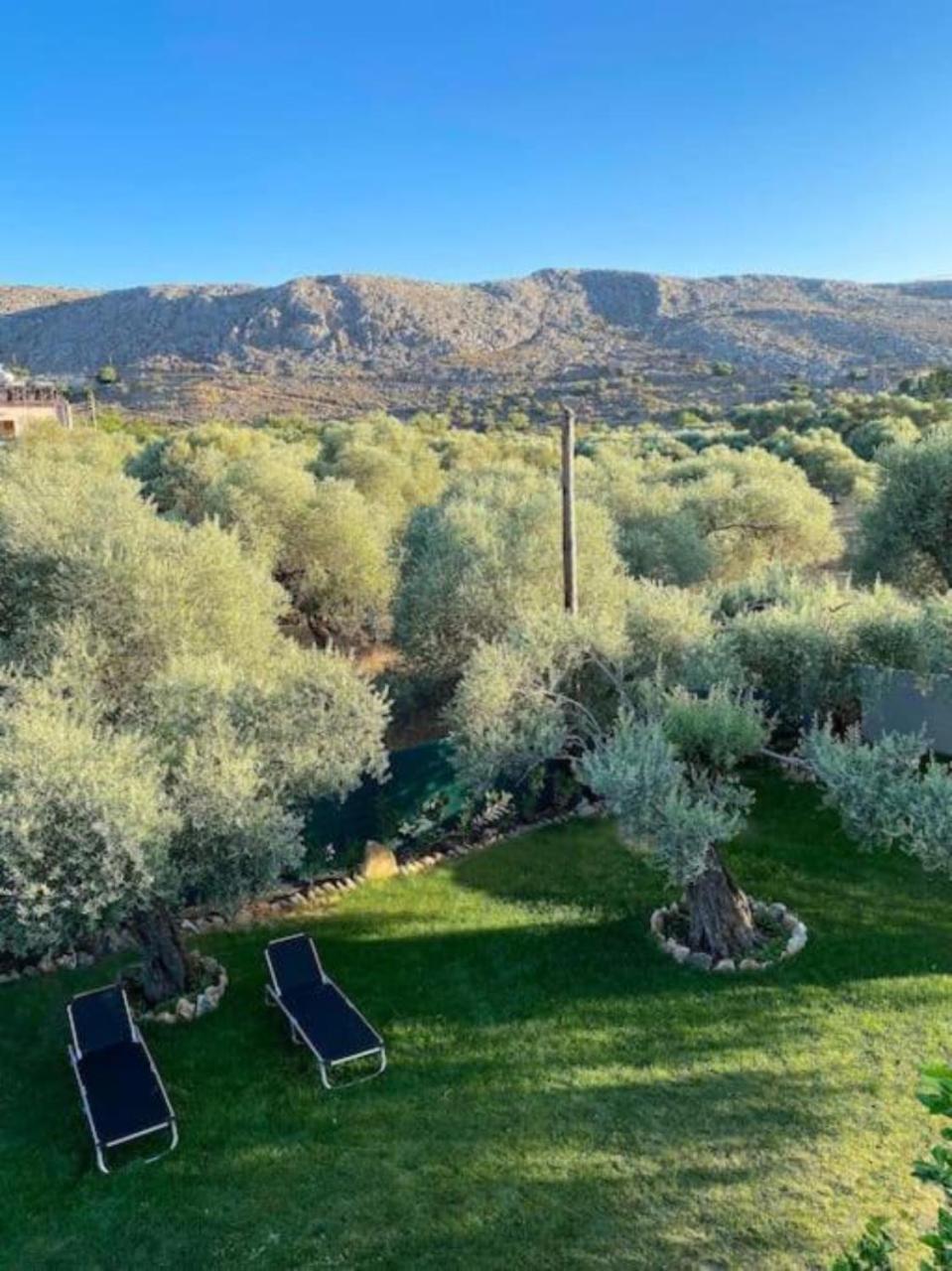 Olives Villa Sinoikismos Kambos Bagian luar foto