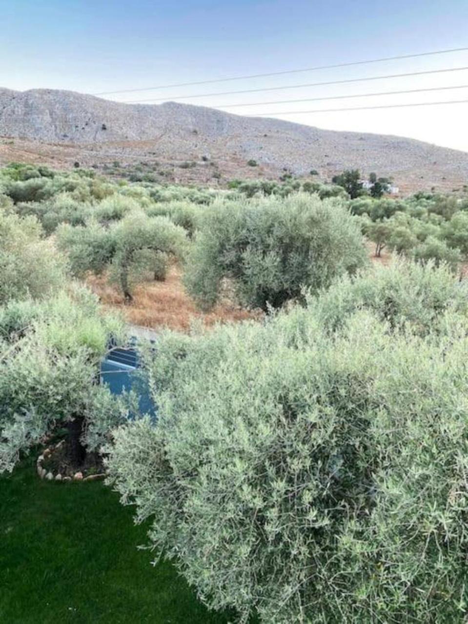 Olives Villa Sinoikismos Kambos Bagian luar foto